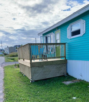 Harry’s House in Heart’s Delight, NL